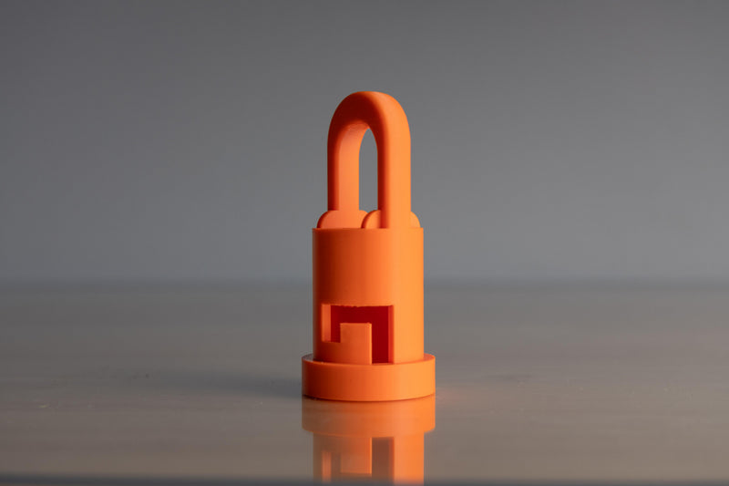 Multi Head Storage Hook